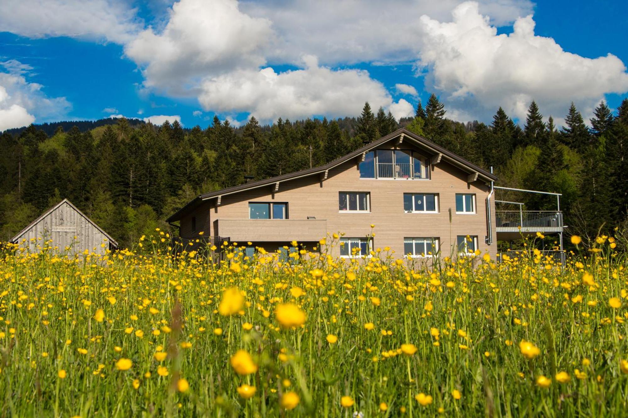 Ferienwohnung Haus Feurstein Hittisau Exterior foto